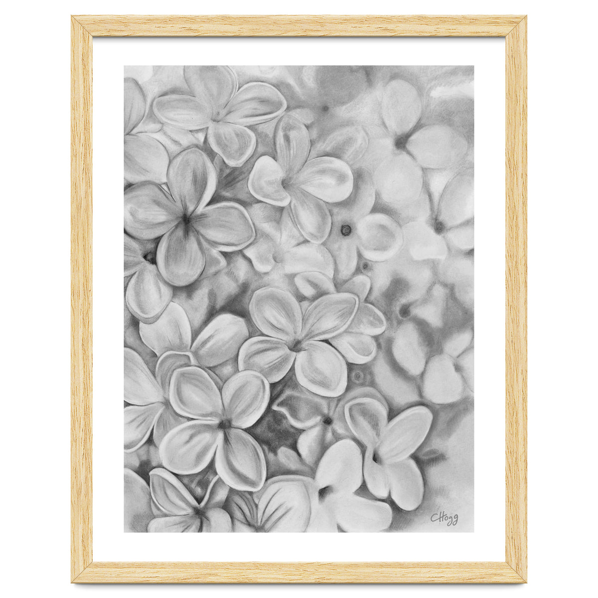 The Essence Of Spring in Monochrome