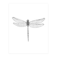 Dragonfly Wings (Print Only)