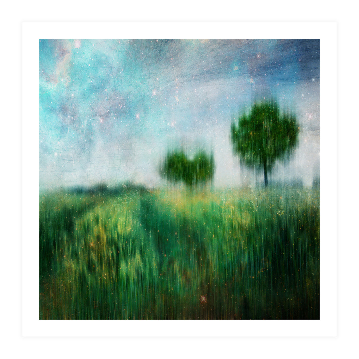 A Star That Fell (Print Only)