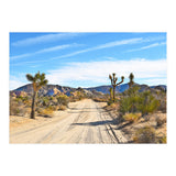 Joshua Tree II (Print Only) thumbnail