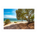 Siesta (Print Only) thumbnail