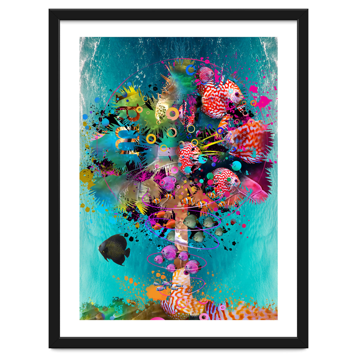 Surf Palm 02 Halfed Large2