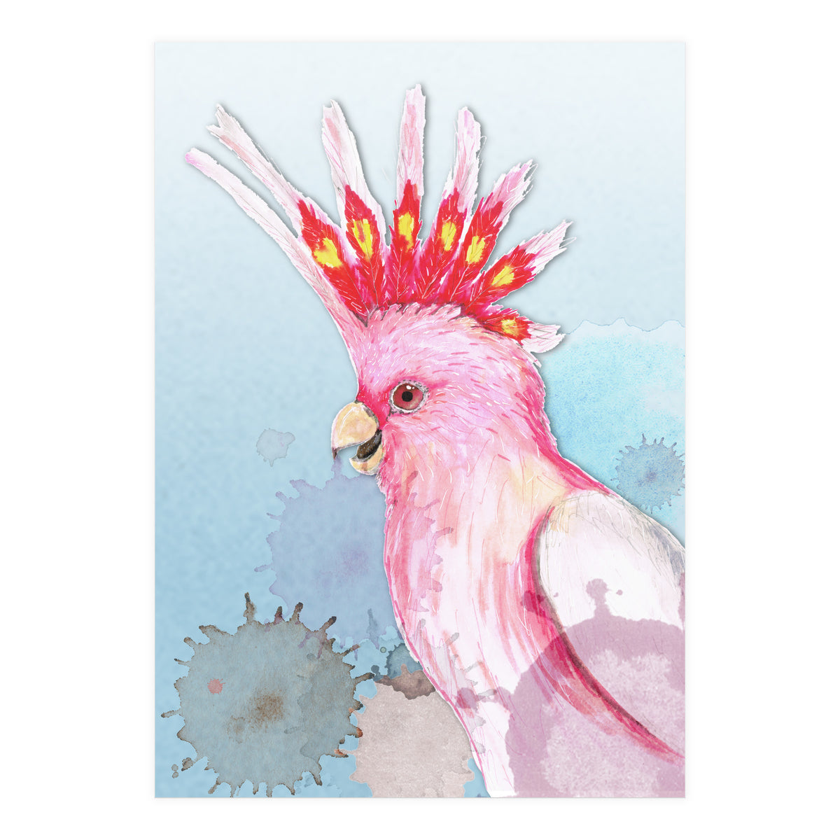 Major Mitchell's cockatoo (Print Only)