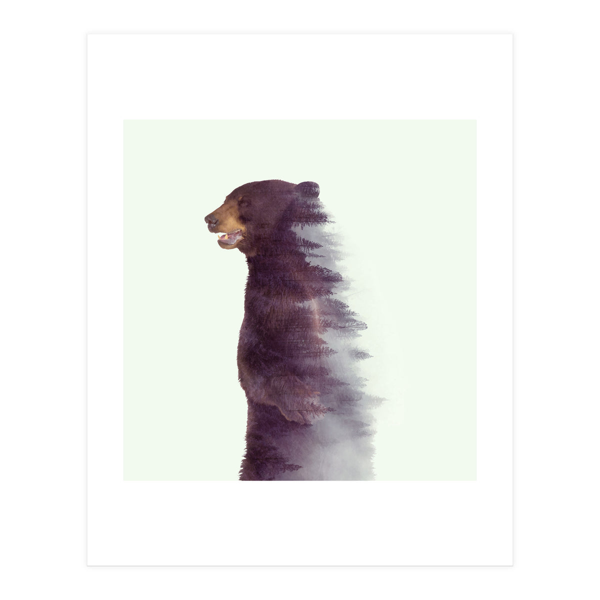 Awakening (Print Only)