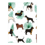 Miracles With Paws (Print Only) thumbnail