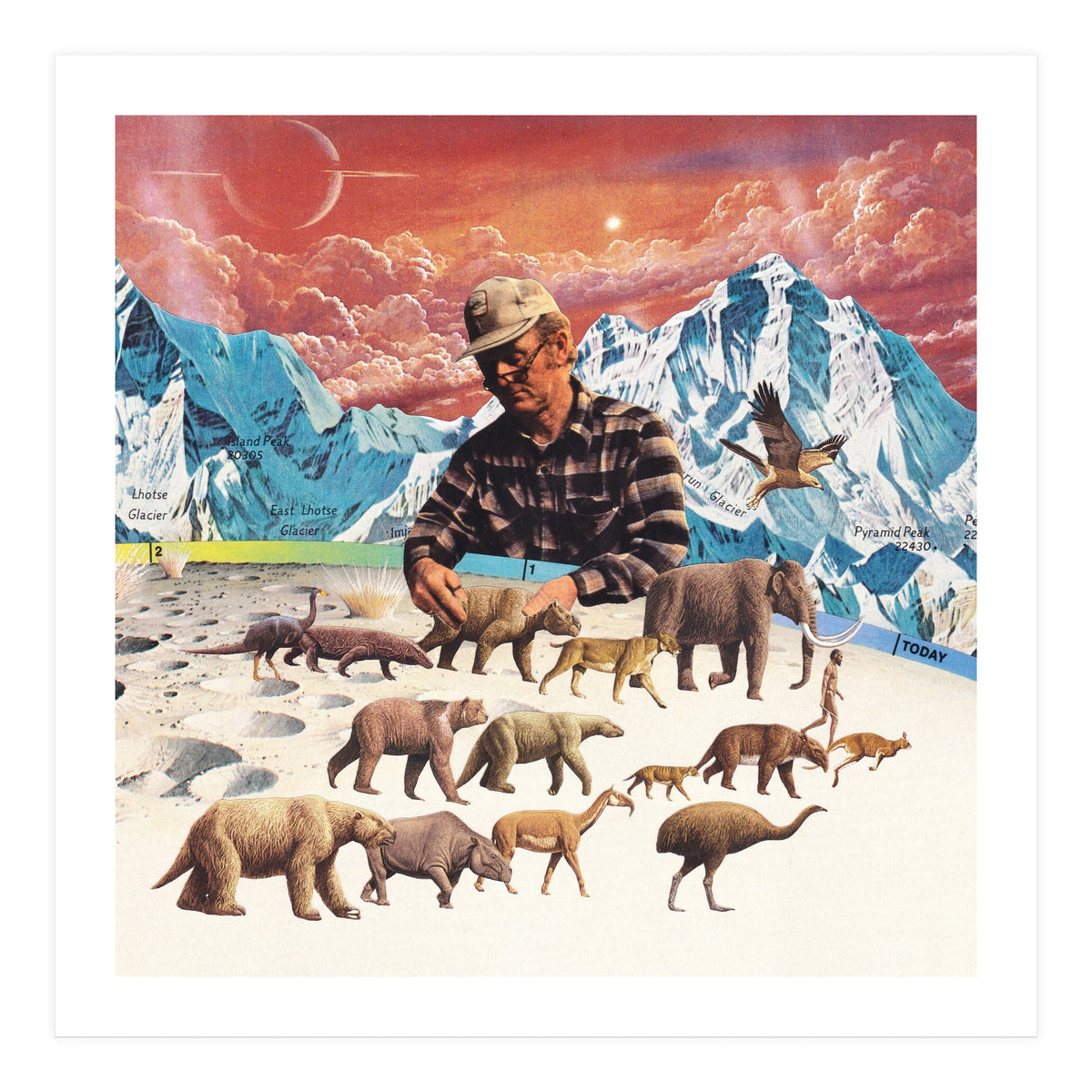 Evolution (Print Only)