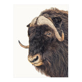 Cc Animal 02 (Print Only) thumbnail