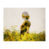 Yellow Meadow (Print Only) thumbnail