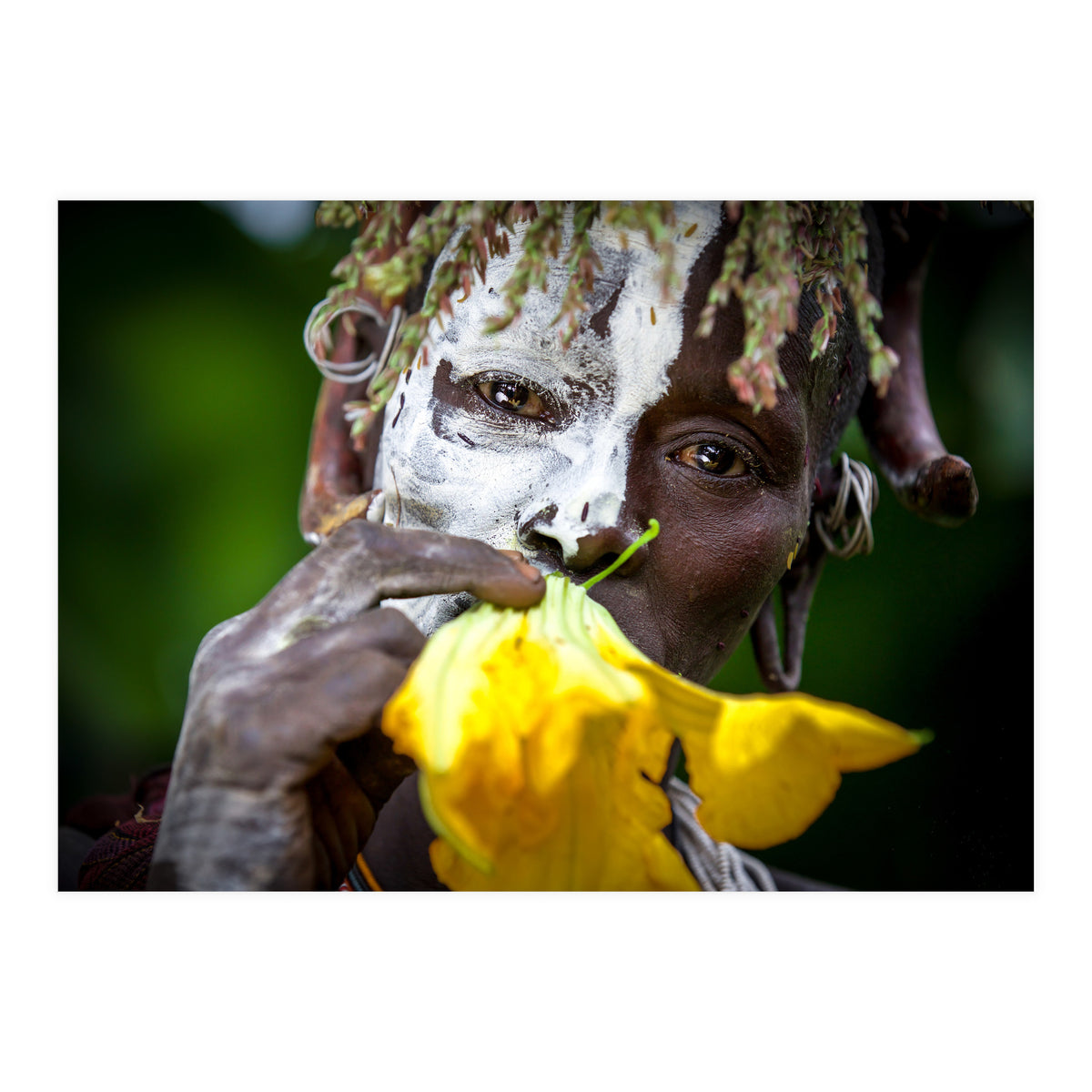 Sure flower (Print Only)