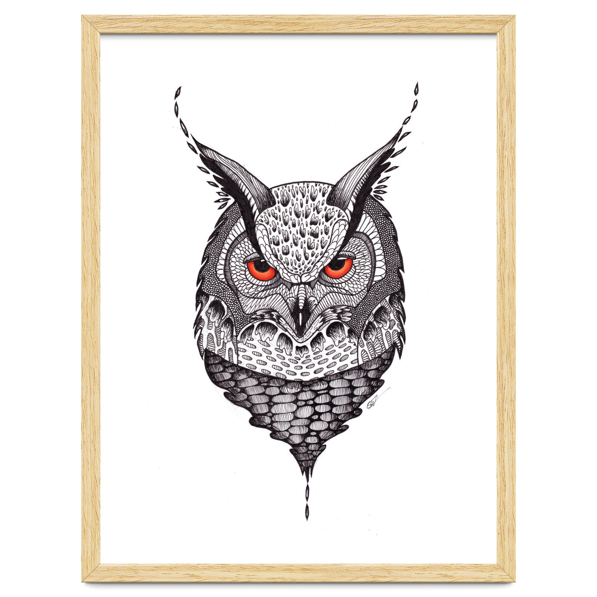 Owl