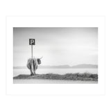 Highland Visitor (Print Only) thumbnail