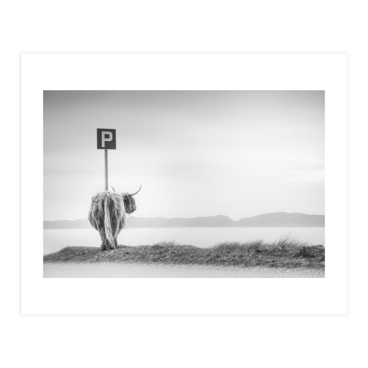 Highland Visitor (Print Only)