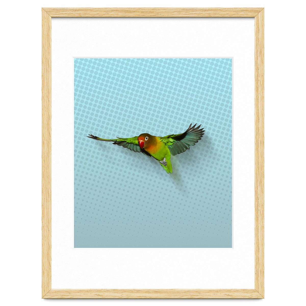Flying lovebird