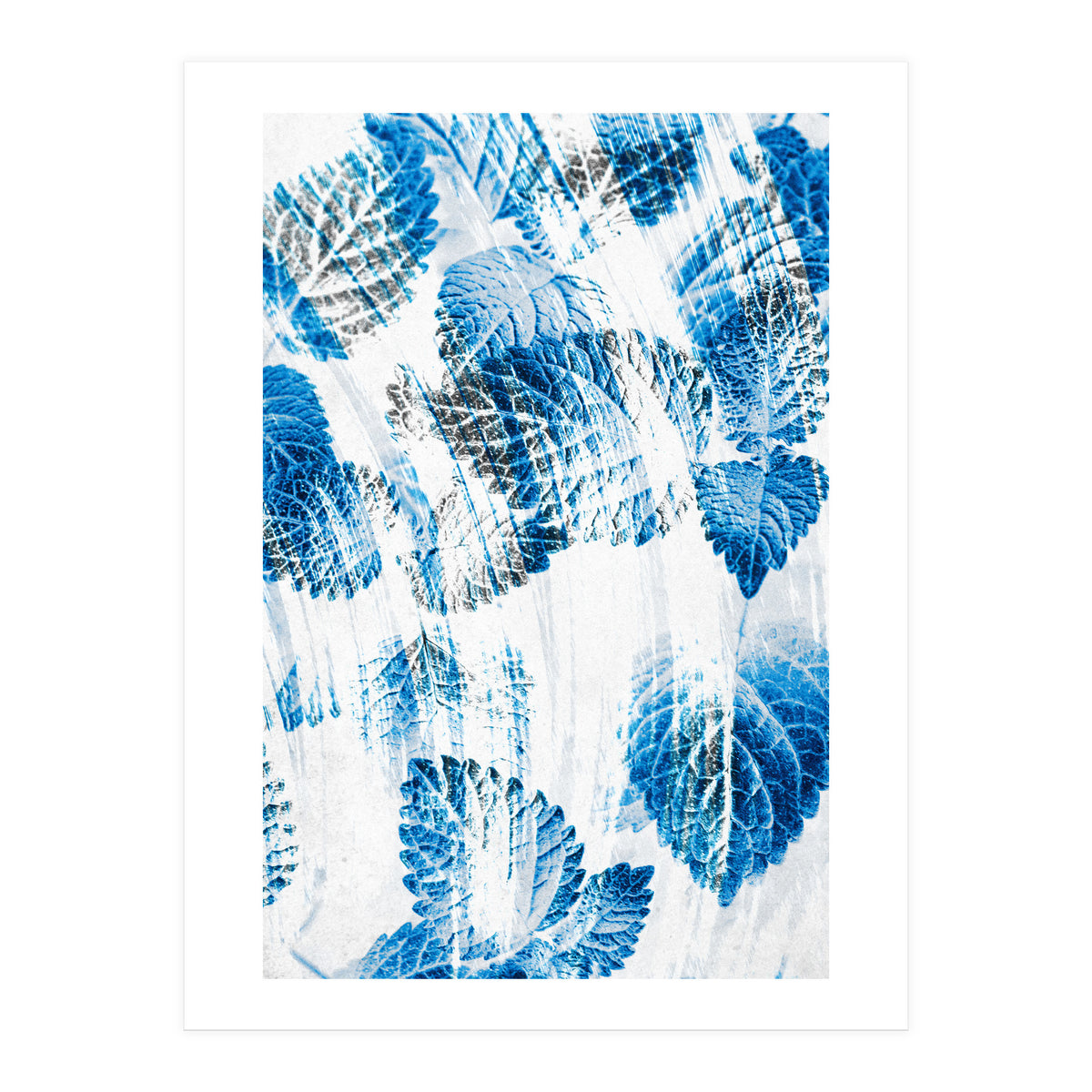 Raining Forest No5 (Print Only)