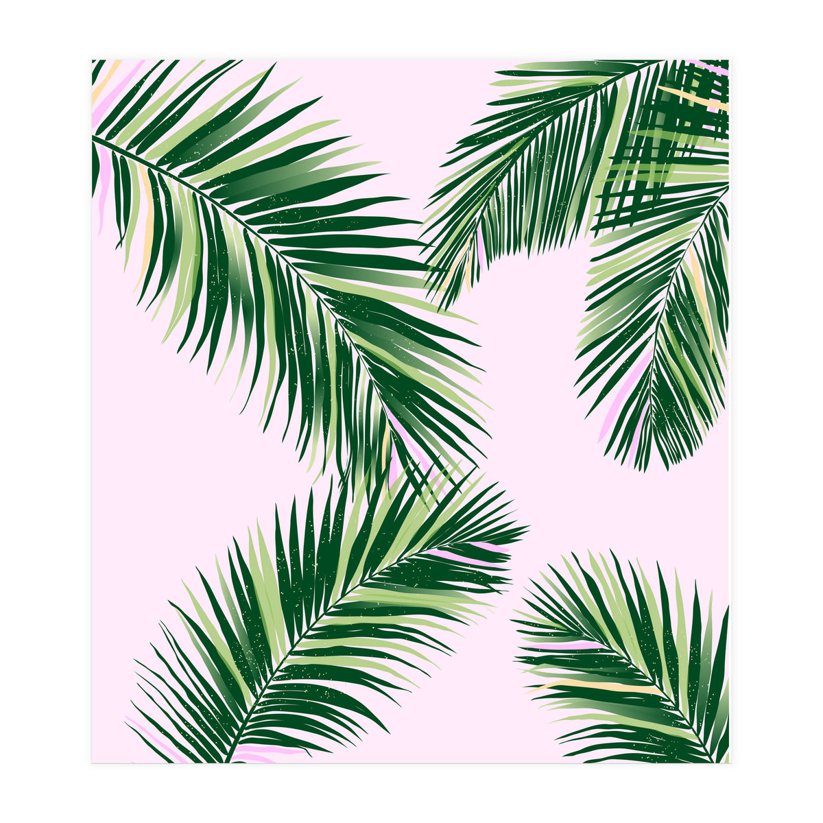 Palmfrond (Print Only)