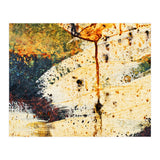 Zara (Print Only) thumbnail