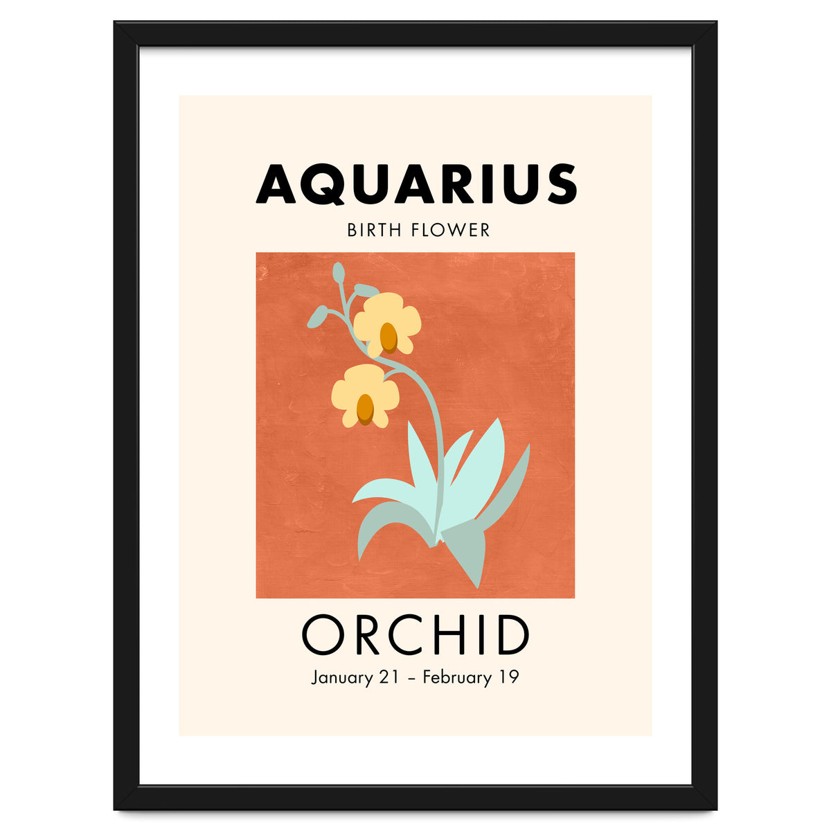 Aquarius Birth Flower Orchid