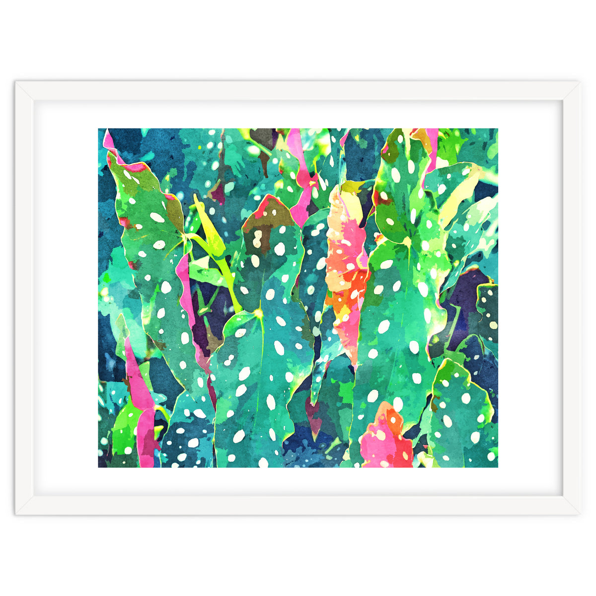 The Polka Dots Plant