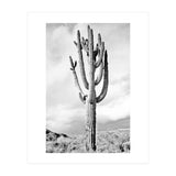 Loner (Print Only) thumbnail