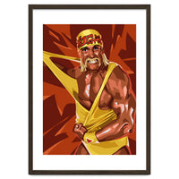 Hulk Hogan WWE