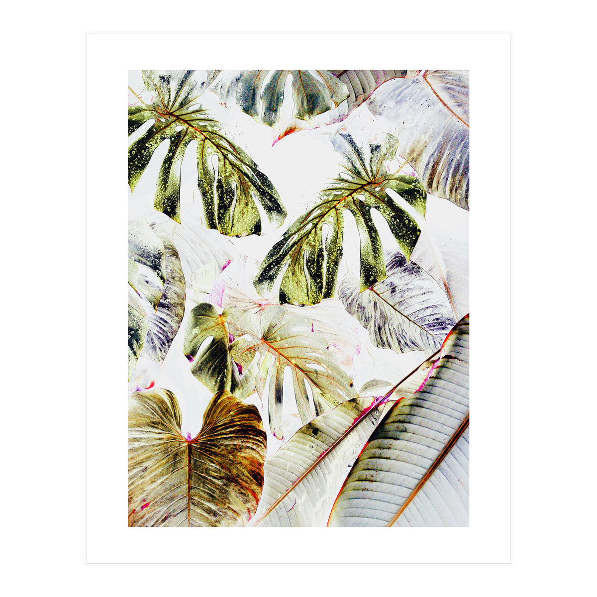 Vintage Tropica (Print Only)