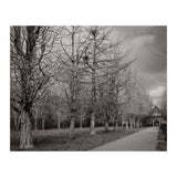 Bute Park, Cardiff (Print Only) thumbnail