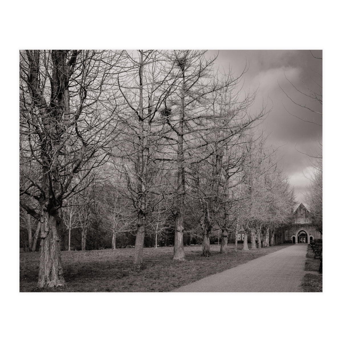 Bute Park, Cardiff (Print Only)