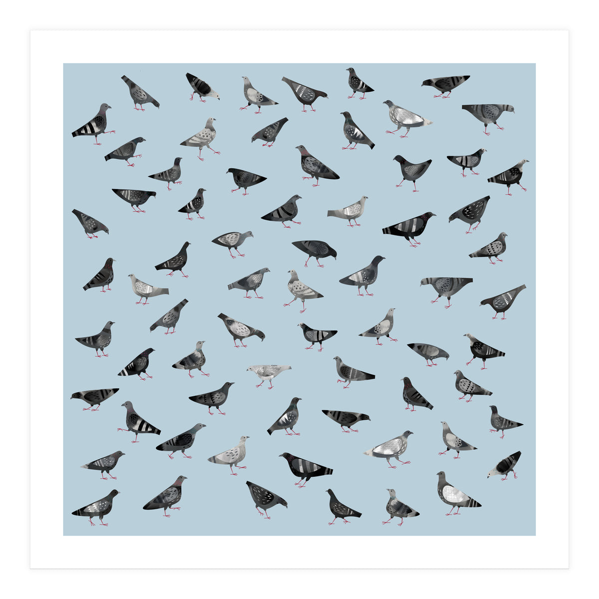 Pigeons Doing Pigeon Things (Print Only)