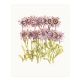 Cc Flower 02 (Print Only) thumbnail