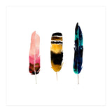 Feather Warmth  (Print Only) thumbnail