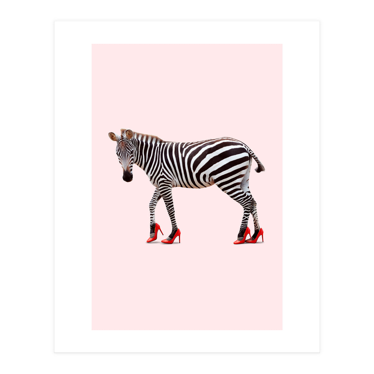 Zebra Heels (Print Only)