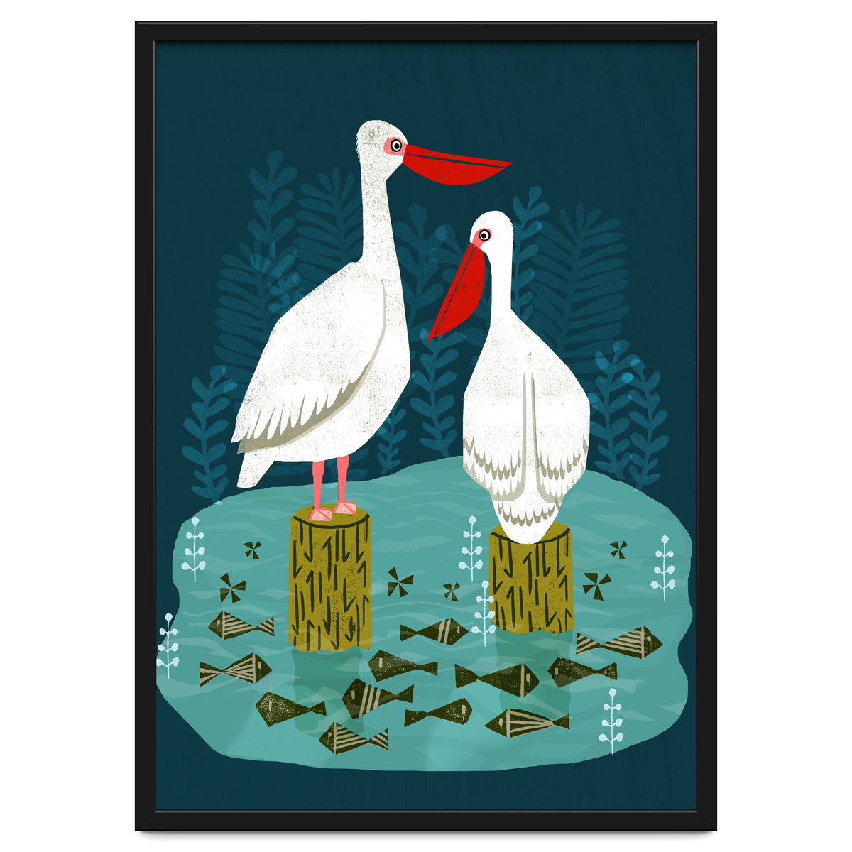 Pelicans
