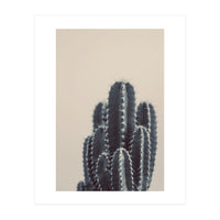 Vintage Cactus #1 (Print Only)