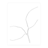Seedling Leaning Left (Print Only) thumbnail