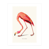 Boho Flamingo (Print Only) thumbnail