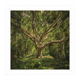 Spirits inside the wood (Print Only) thumbnail
