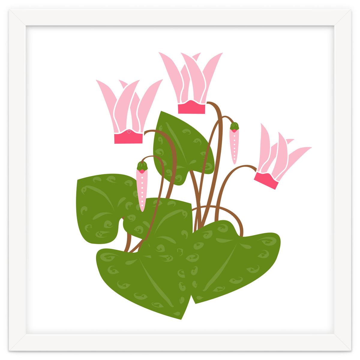 Cascading Cyclamen