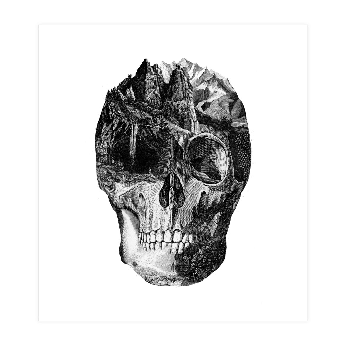 The Final Adventure (Print Only)