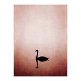 The Swan (Print Only) thumbnail