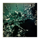 GREEN POEM (Print Only) thumbnail