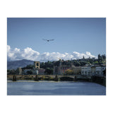 Volare A Firenze (Print Only) thumbnail