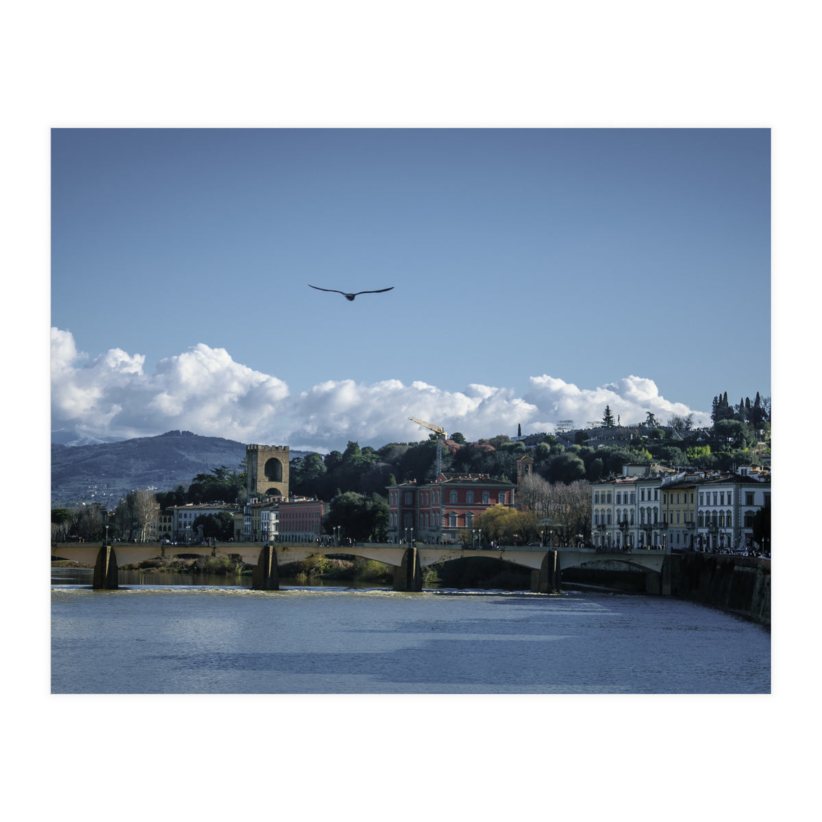 Volare A Firenze (Print Only)
