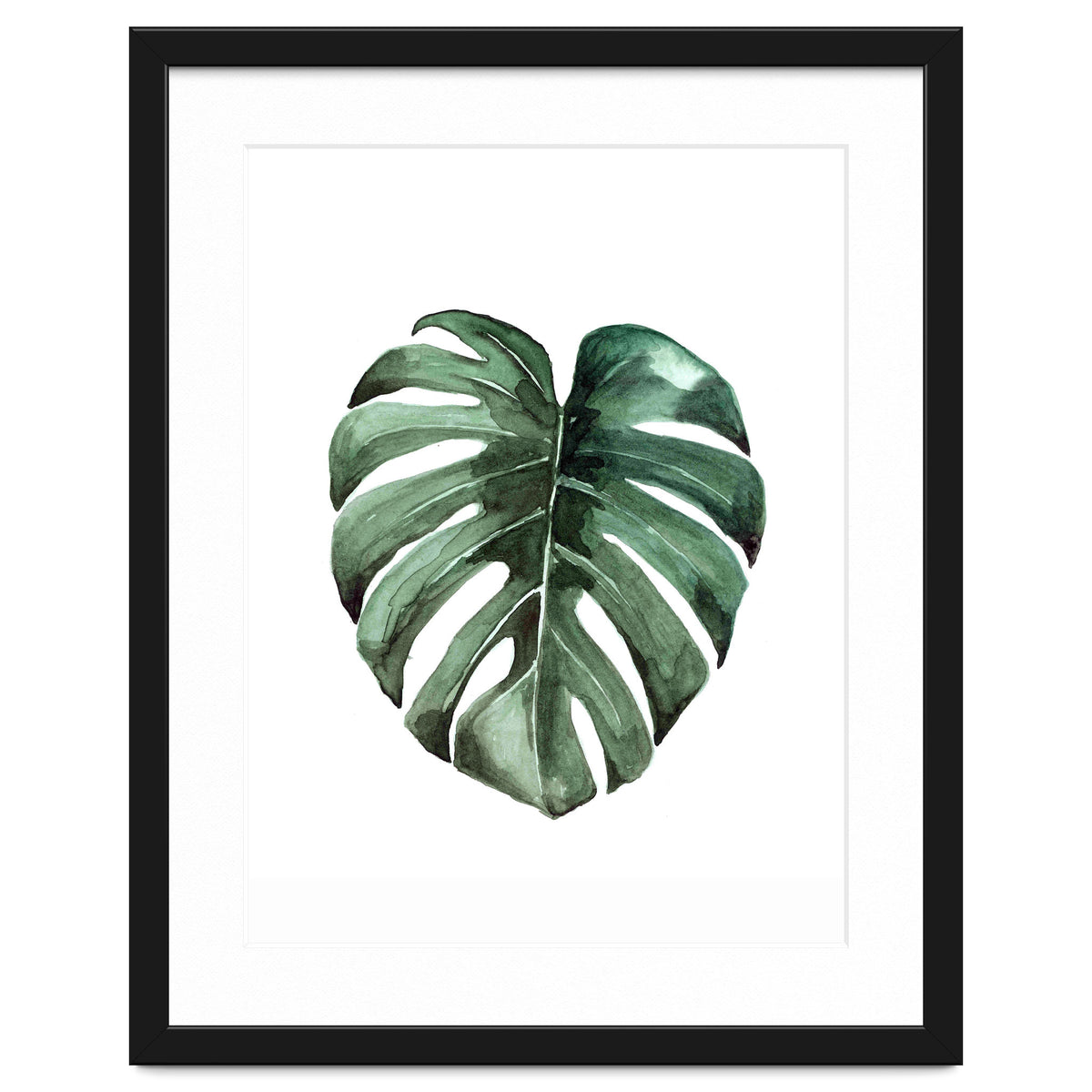 Botanical Illustration Monstera Deliciosa