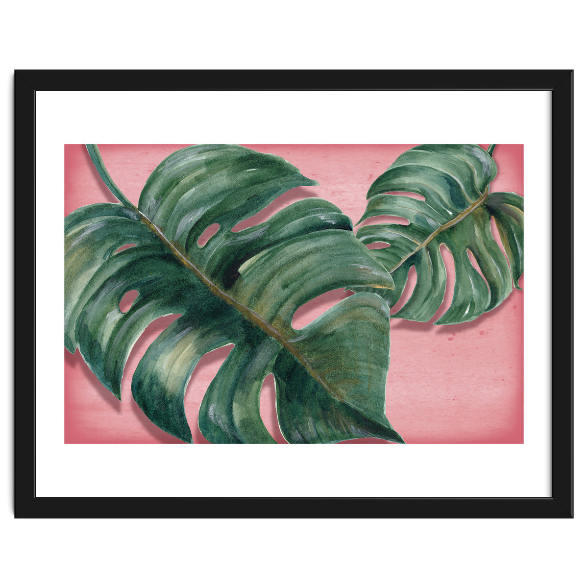 Monstera Leaf