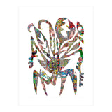Planta Salvaje 23 Copia (Print Only) thumbnail