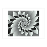 Black & White Floral (Print Only) thumbnail