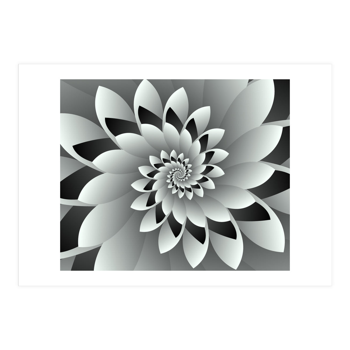 Black & White Floral (Print Only)