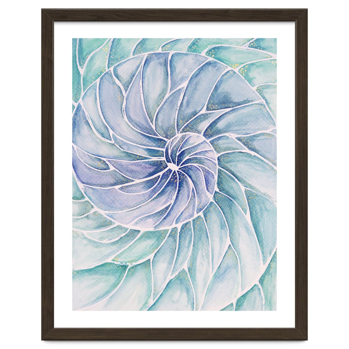 The inside of a shell