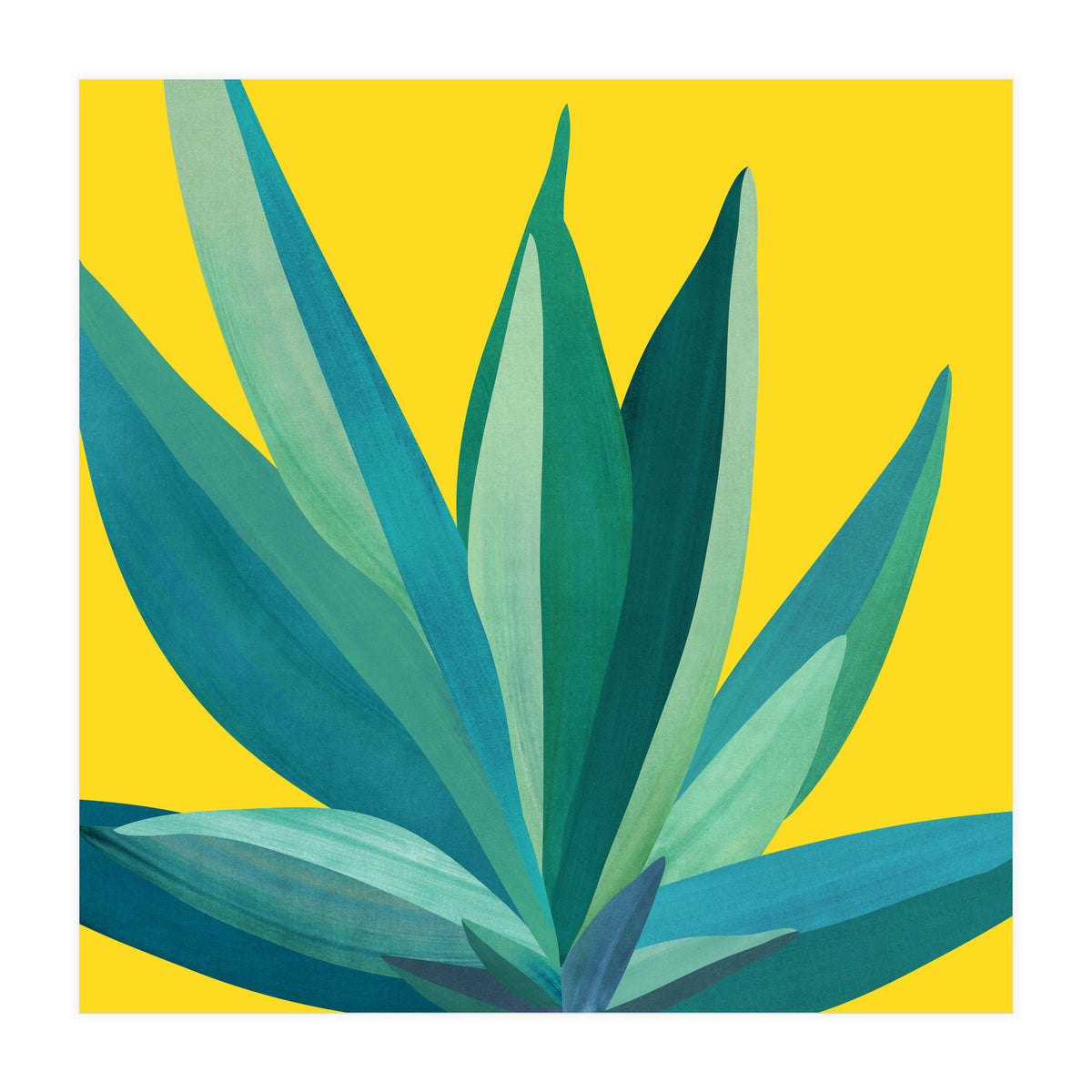 Spring Cactus (Print Only)