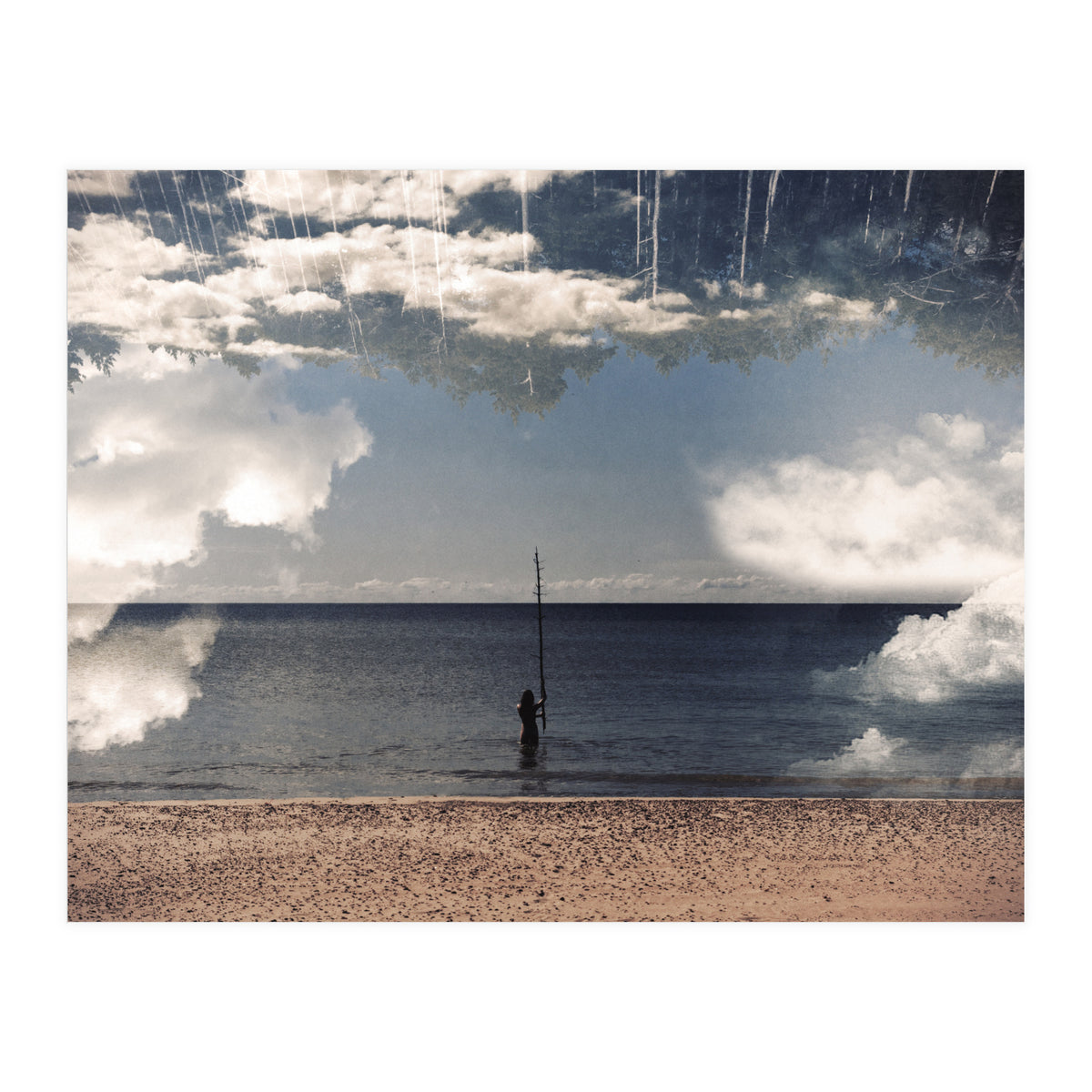 Sea the Forest (Print Only)